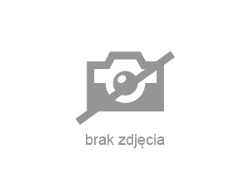 Renault Megane - zobacz ofertę